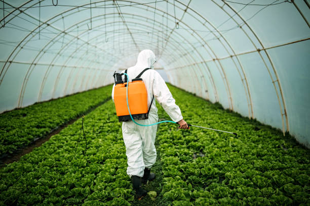 Best Commercial Pest Control Services  in Brook Park, OH