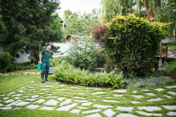 Best Residential Pest Control  in Brook Park, OH
