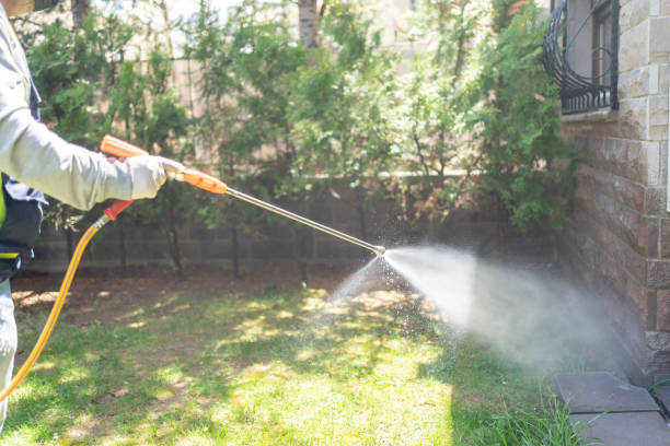 Best Mosquito Control Services  in Brook Park, OH